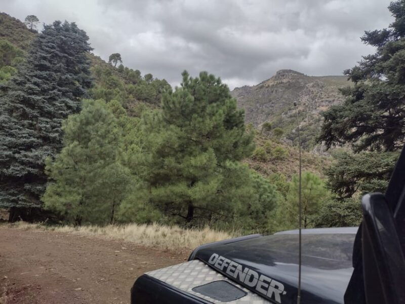 4x4-in-the-heart-of-the-sierra-de-las-nieves-national-park