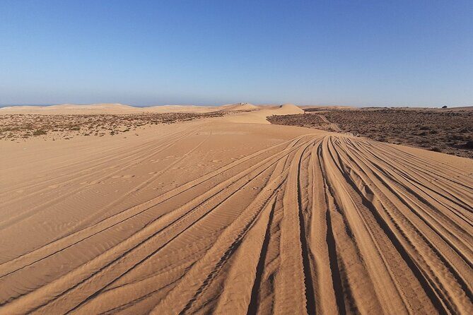 4×4 Jeep Desert Safari Tour with Lunch and Camel Ride - An In-Depth Look at the Tour Experience
