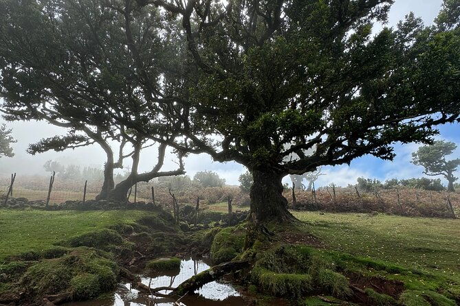 4x4-jeep-safari-west-madeira-porto-moniz-fanal-cabo-girao