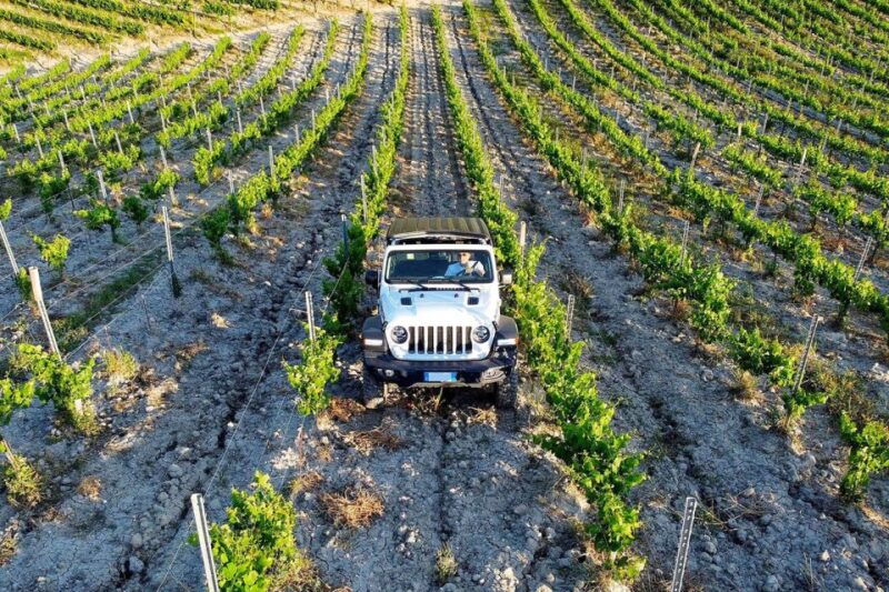 4x4-jeep-vineyard-safari-tour-with-lunch-and-wine-tasting