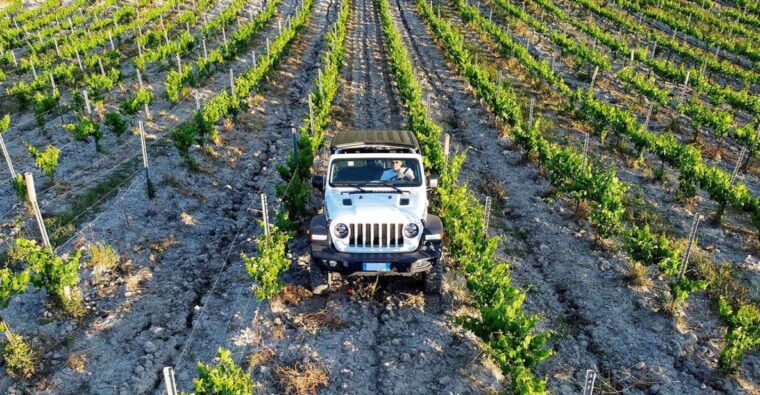 4x4-jeep-vineyard-safari-tour-with-lunch-and-wine-tasting