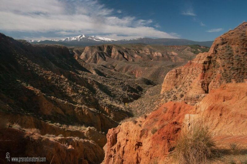 4x4-los-coloraos-full-day-desert-tour-gorafe