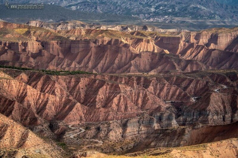 4x4-los-coloraos-full-day-desert-tour-gorafe