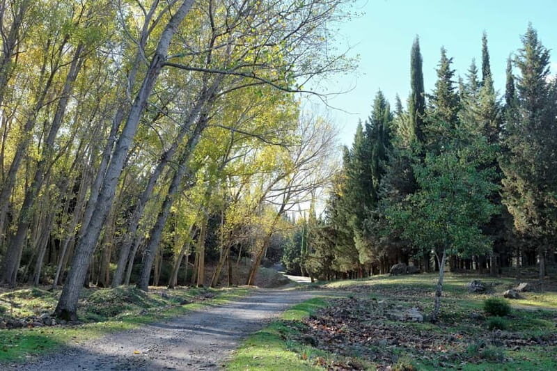 4x4 Night Tour in The Nebrodi Park from Cesarò - Who Will Love This Tour?