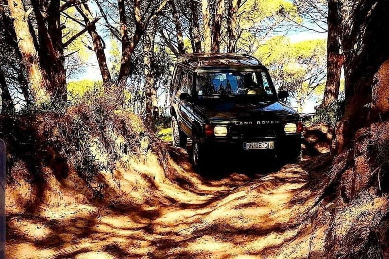 4x4 Night Tour in The Nebrodi Park from Cesarò - Final Thoughts: Who Should Consider This Tour?