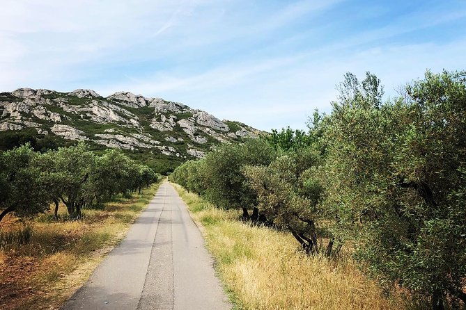 4x4-safari-4h-alpilles-provence-departure-from-arles-2