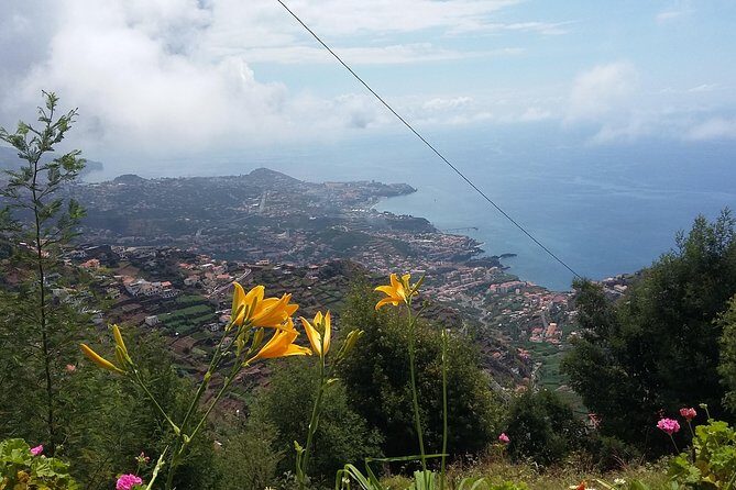 4x4 Safari Half day Poncha, Mountains, Vineyards and Cabo Girão Small group - FAQ