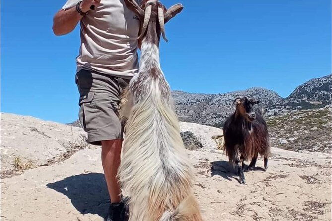 4x4-safari-tour-southern-crete-tripitis-gorge