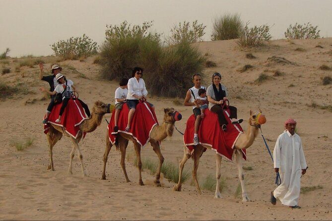 4x4 Self-Drive Quad Bike Safari with Camel Riding - Considerations and Who Its Best For