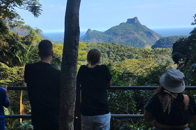 4x4-tijuca-national-park-rio-de-janeiro