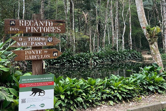 4x4-tijuca-national-park-rio-de-janeiro
