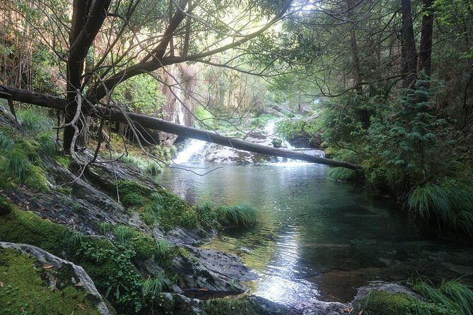 4x4-tour-discovering-serra-darga