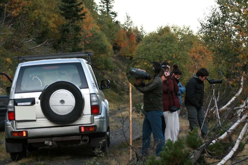 4×4 tour of the Aran Valley - Wildlife, flora and alpine landscapes - The Value of the Tour: Is It Worth It?