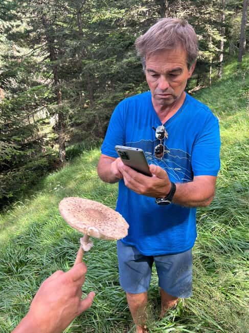 4×4 tour of the Aran Valley - Wildlife, flora and alpine landscapes - Who Is This Tour Best Suited For?
