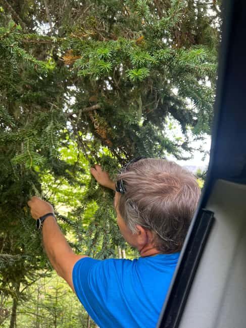 4×4 tour of the Aran Valley - Wildlife, flora and alpine landscapes - FAQ