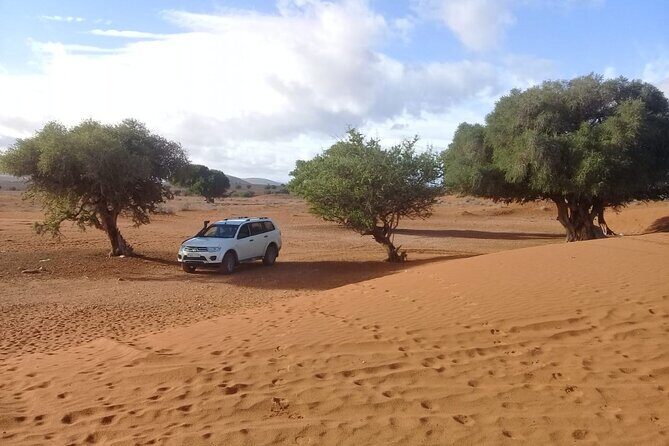 4×4 Wild Nature Private Half Day Trip - A Closer Look at the Itinerary