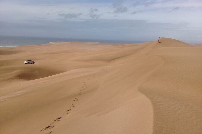 4×4 Wild Nature Private Half Day Trip - FAQ about the 4×4 Wild Nature Private Half Day Trip
