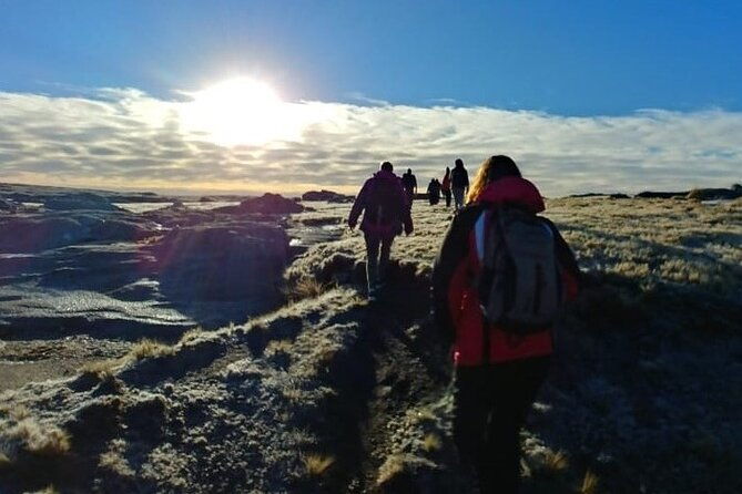 5-5-hour-national-park-w-hiking-shore-excursion-ushuaia-private-tour