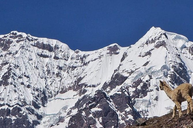 5-day-4-night-ausangate-trek-from-cusco-peru