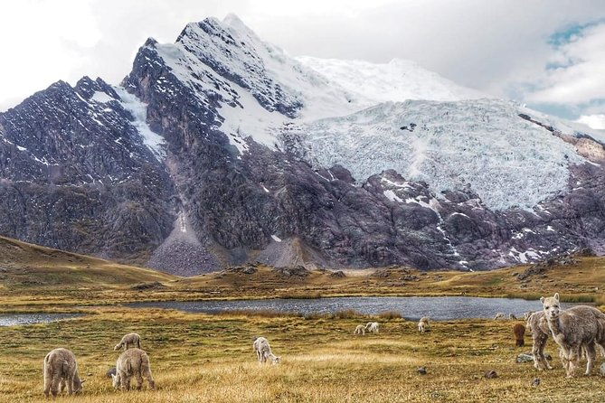 5-day-4-night-ausangate-trek-from-cusco-peru