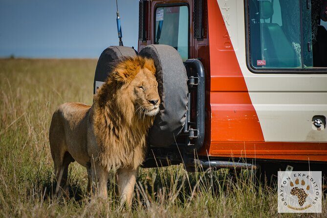 5-Day 4 Nights Masai Mara-L Nakuru-Hell's Gate Budget Safari - An In-Depth Look at the 5-Day Safari Experience