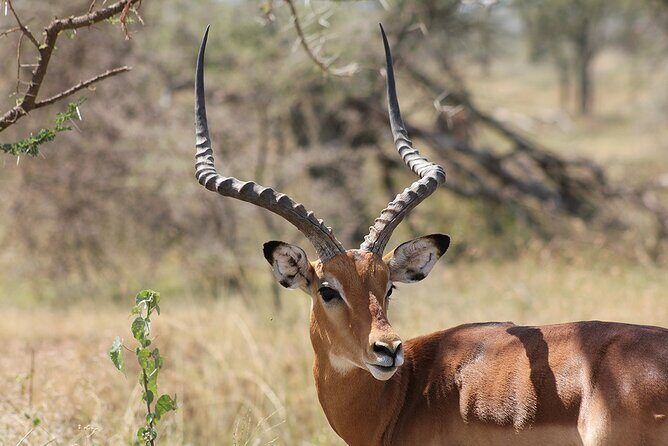 5 day 4 Nights Private Adventure Camping Norther Tanzania Safari - The Sum Up: Who Is This Safari For?