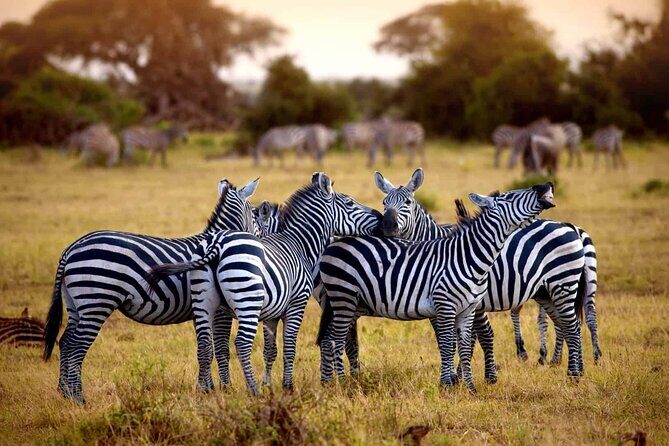 5 day 4 Nights Private Adventure Camping Norther Tanzania Safari - FAQ