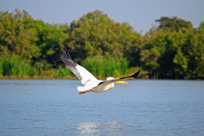 5 Day Addis,Bahir Dar,Gondar,Simien Mountains and Lalibela Tours - Who Would Love This Tour?
