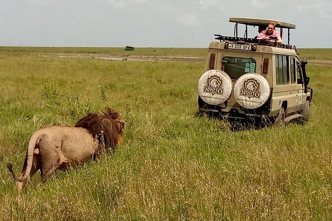 5 Day Adventure Camping Safari to Serengeti, Ngorongoro crater & Tarangire - Key Points