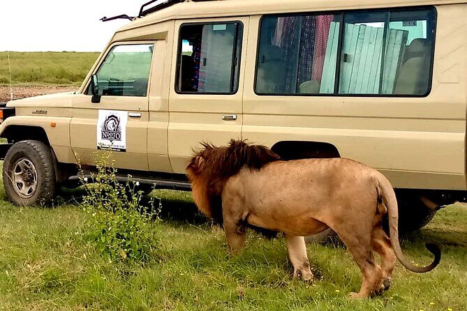 5 Day Adventure Camping Safari to Serengeti, Ngorongoro crater & Tarangire - An Authentic Tanzania Safari Experience