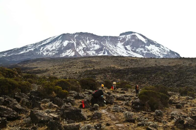 5-Day Adventure Kilimanjaro Trekking via Marangu Route - Who Should Consider This Tour?
