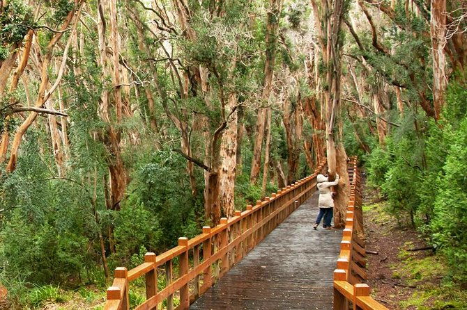 5-day-adventure-trip-in-bariloche