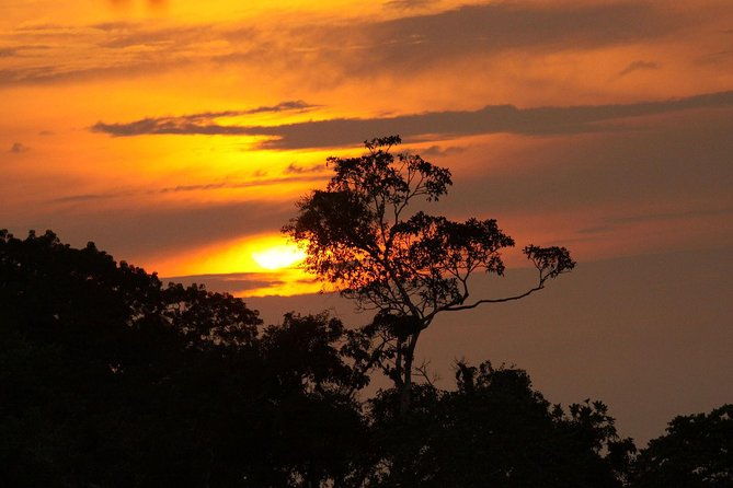 5-day-all-inclusive-cuyabeno-amazon-adventure-with-accommodation-in-eco-lodge