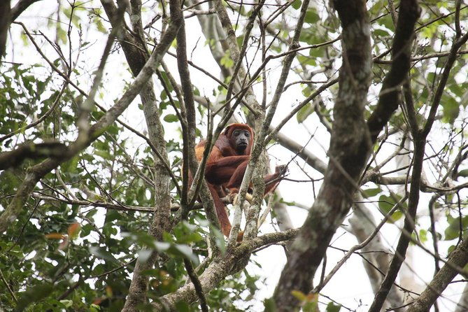 5-day-all-inclusive-cuyabeno-amazon-adventure-with-accommodation-in-eco-lodge