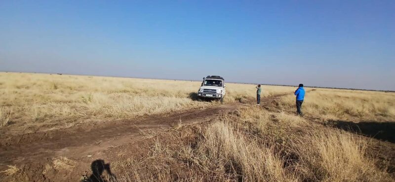 5-Day Awash & Danakil Depression Safari Tour - The Logistics and Value