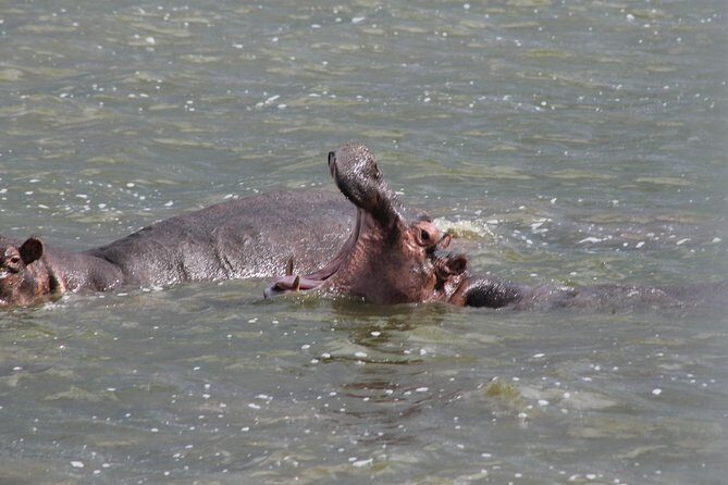 5-Day Big 5 Kidepo valley National Park Safari - Final Thoughts
