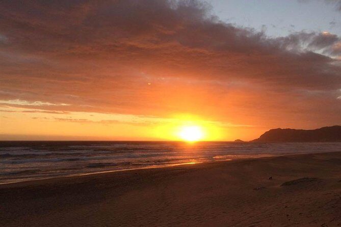 5 Day Cape to Addo Safari - Garden Route Small Group Tour - Frequently Asked Questions