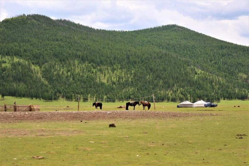 5 day Central Mongolia and Nomad stay tour - Who Will Love This Tour?