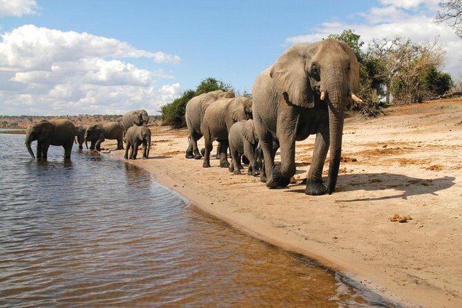 5 Day Chobe National Park Accommodated Tour Safari - Practical Details and Logistics