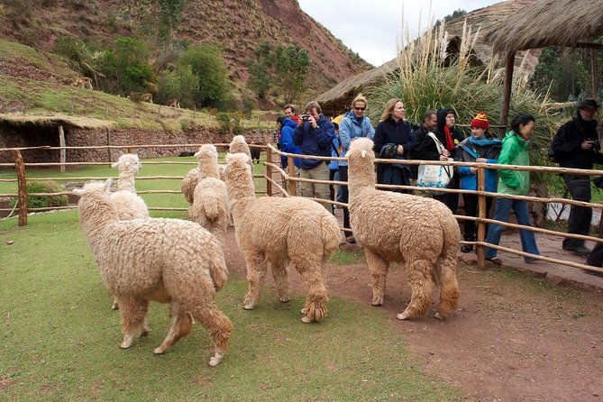 5-day-city-package-cusco-sacred-valley-machu-picchu