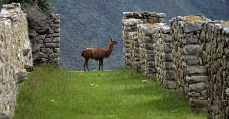 5-day-classic-salkantay-trek-to-machu-picchu-return-by-train