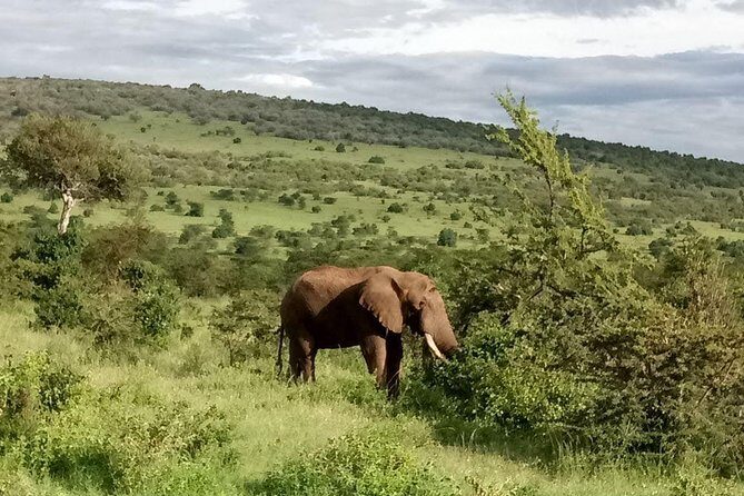 5-Day Crescent Island, HellS Gate, Naivasha, Amboseli National Park - Detailed Breakdown of the Itinerary