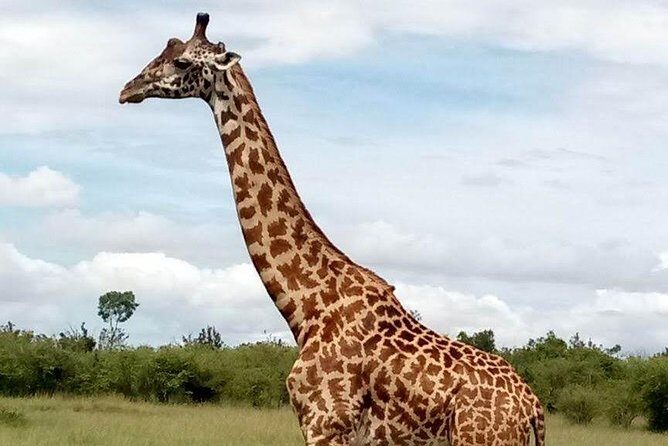 5-Day Crescent Island, HellS Gate, Naivasha, Amboseli National Park - FAQ