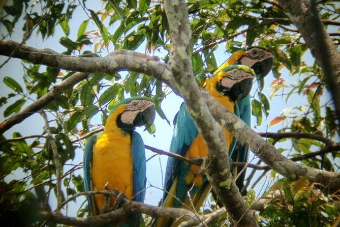 5-day-cuyabeno-amazon-eco-lodge-adventure