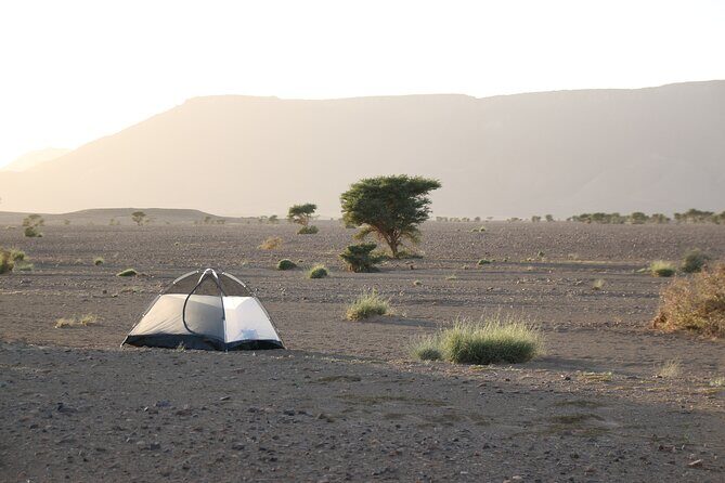 5-Day Desert Hiking Adventure from Merzouga - Final Thoughts: Who Is This Tour Perfect For?