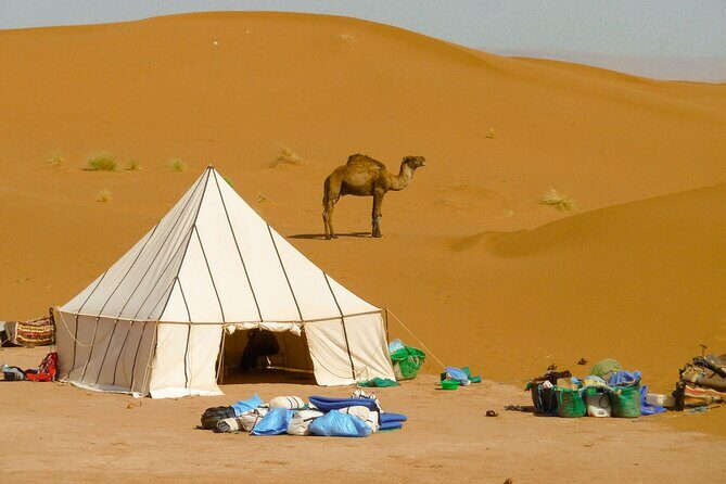 5-Day Desert Hiking Adventure from Merzouga - FAQ