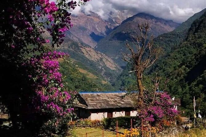 5 Day Easy Annapurna Base Camp Trek - Authentic Experiences and Unique Insights