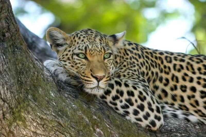 5-day-flash-tour-of-sri-lanka-cover-5-land-marks