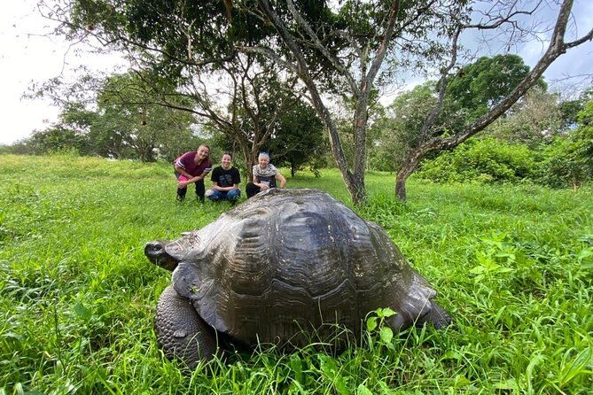 5-day-galapagos-luxury-santa-cruz-isabela-with-local-flight-and-snorkeling