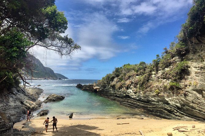 5-Day Garden Route & Addo Adventure from Cape Town to Port Elizabeth - Key Points
